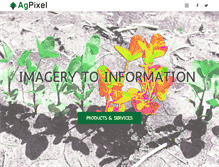 Tablet Screenshot of agpixel.com
